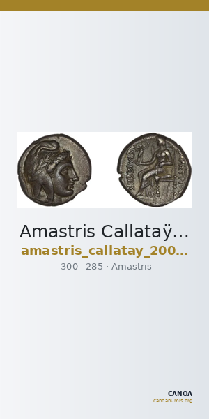 Amastris Callataÿ 2004 Group 1A — CANOA