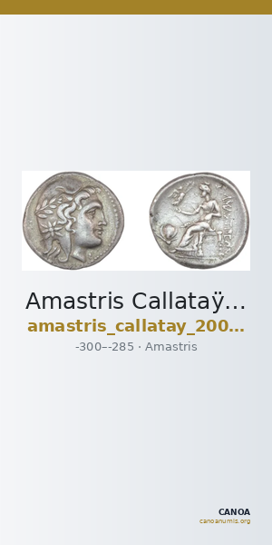 Amastris Callataÿ 2004 Group 2 — CANOA