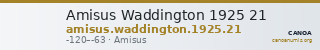 Amisus Waddington 1925 21 — CANOA