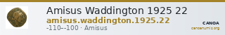Amisus Waddington 1925 22 — CANOA