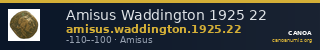 Amisus Waddington 1925 22 — CANOA