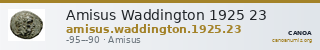 Amisus Waddington 1925 23 — CANOA
