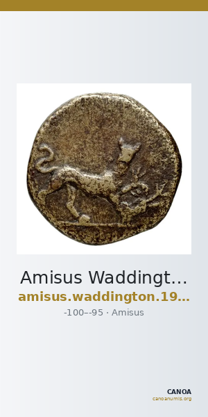 Amisus Waddington 1925 27 — CANOA