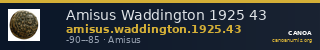 Amisus Waddington 1925 43 — CANOA