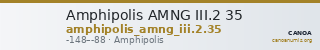 Amphipolis AMNG III.2 35 — CANOA
