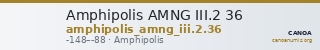 Amphipolis AMNG III.2 36 — CANOA