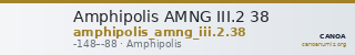 Amphipolis AMNG III.2 38 — CANOA