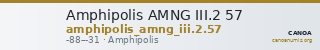 Amphipolis AMNG III.2 57 — CANOA