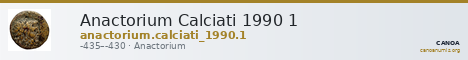 Anactorium Calciati 1990 1 — CANOA