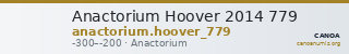 Anactorium Hoover 2014 779 — CANOA