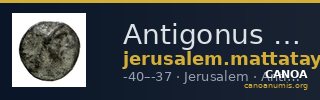 Antigonus II Mattathias Jerusalem Hendin 2010 1162 — CANOA