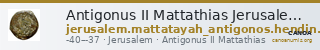 Antigonus II Mattathias Jerusalem Hendin 2010 1163 — CANOA