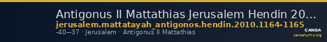 Antigonus II Mattathias Jerusalem Hendin 2010 1164-1165 — CANOA