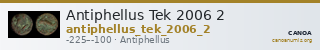 Antiphellus Tek 2006 2 — CANOA