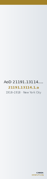 AoD 21191.13114.1.a — CANOA