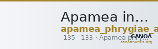 Apamea in Phrygia Ashton 2004 pl. 9, 14 — CANOA