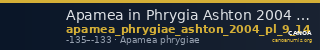 Apamea in Phrygia Ashton 2004 pl. 9, 14 — CANOA