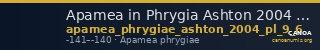 Apamea in Phrygia Ashton 2004 pl. 9, 6 — CANOA