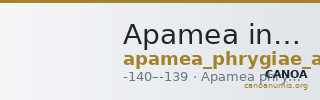 Apamea in Phrygia Ashton 2004 pl. 9, 7 — CANOA