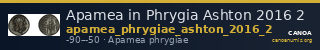 Apamea in Phrygia Ashton 2016 2 — CANOA