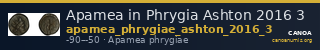 Apamea in Phrygia Ashton 2016 3 — CANOA