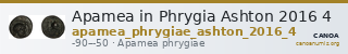 Apamea in Phrygia Ashton 2016 4 — CANOA