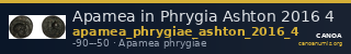 Apamea in Phrygia Ashton 2016 4 — CANOA