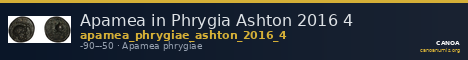 Apamea in Phrygia Ashton 2016 4 — CANOA