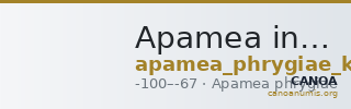 Apamea in Phrygia Kleiner 1979 I — CANOA
