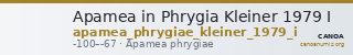 Apamea in Phrygia Kleiner 1979 I — CANOA