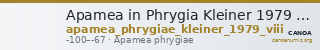 Apamea in Phrygia Kleiner 1979 VIII — CANOA