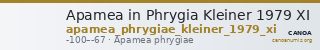 Apamea in Phrygia Kleiner 1979 XI — CANOA