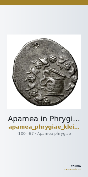 Apamea in Phrygia Kleiner 1979 XIV — CANOA