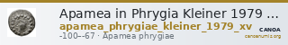 Apamea in Phrygia Kleiner 1979 XV — CANOA