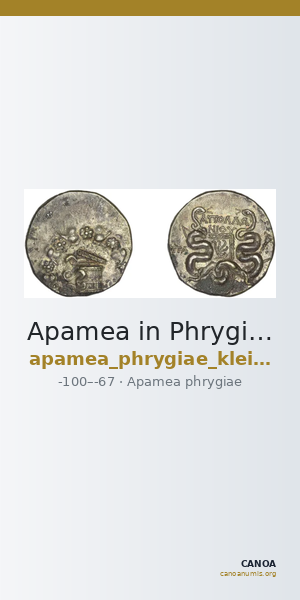 Apamea in Phrygia Kleiner 1979 XVI — CANOA