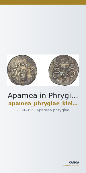 Apamea in Phrygia Kleiner 1979 XVIII — CANOA