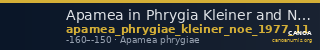 Apamea in Phrygia Kleiner and Noe 1977 11 — CANOA
