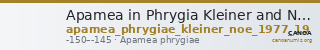 Apamea in Phrygia Kleiner and Noe 1977 19 — CANOA