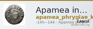 Apamea in Phrygia Kleiner and Noe 1977 29 — CANOA