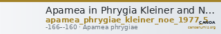 Apamea in Phrygia Kleiner and Noe 1977 5 — CANOA