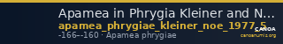 Apamea in Phrygia Kleiner and Noe 1977 5 — CANOA