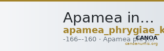 Apamea in Phrygia Kleiner and Noe 1977 6 — CANOA
