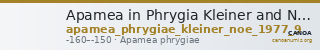 Apamea in Phrygia Kleiner and Noe 1977 9 — CANOA
