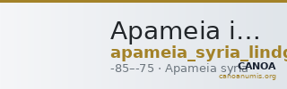 Apameia in Syria Lindgren 1985 1175 — CANOA