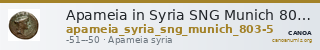 Apameia in Syria SNG Munich 803-5 — CANOA