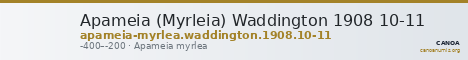 Apameia (Myrleia) Waddington 1908 10-11 — CANOA