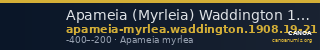 Apameia (Myrleia) Waddington 1908 19-21 — CANOA