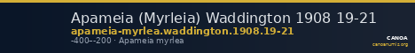 Apameia (Myrleia) Waddington 1908 19-21 — CANOA