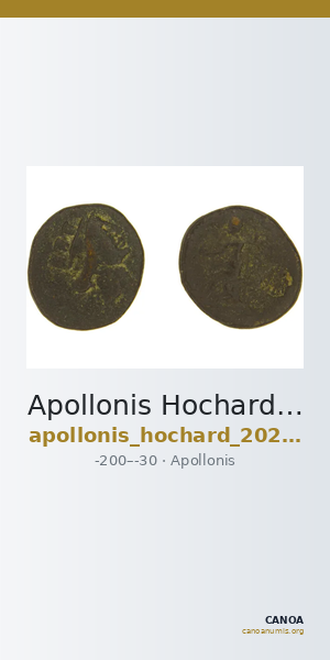 Apollonis Hochard 2020 2.3 — CANOA