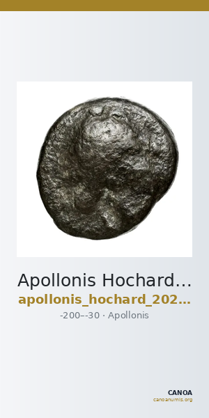 Apollonis Hochard 2020 2.4 — CANOA